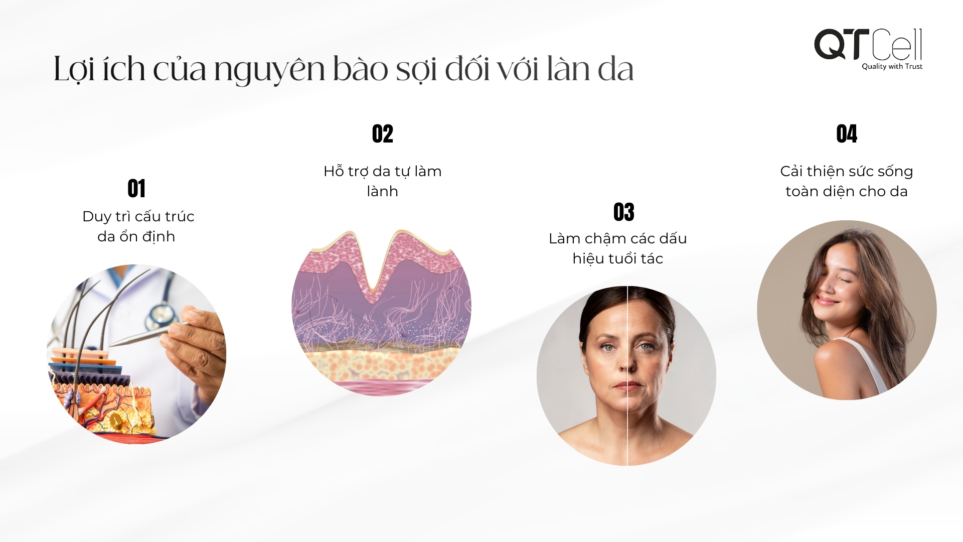 Những lợi ích quan trọng của nguyên bào sợi đối với làn da