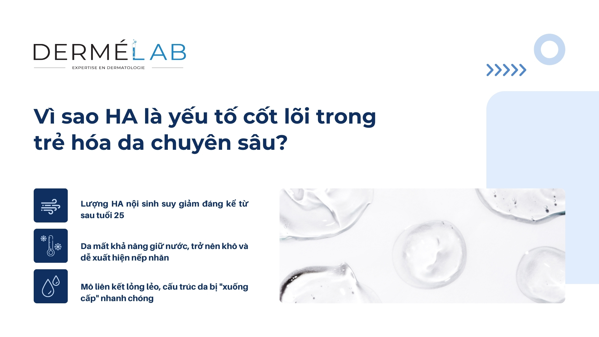 Vì sao HA là yếu tố cốt lõi trong trẻ hóa da chuyên sâu?