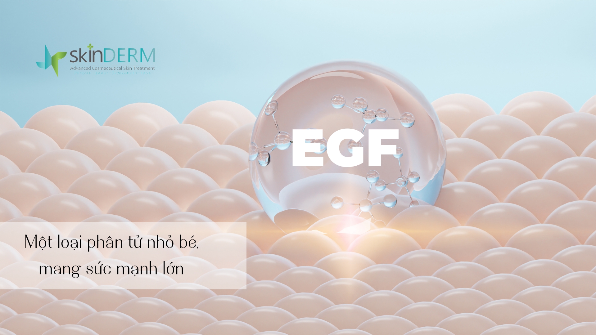 Nano EGF là gì?
