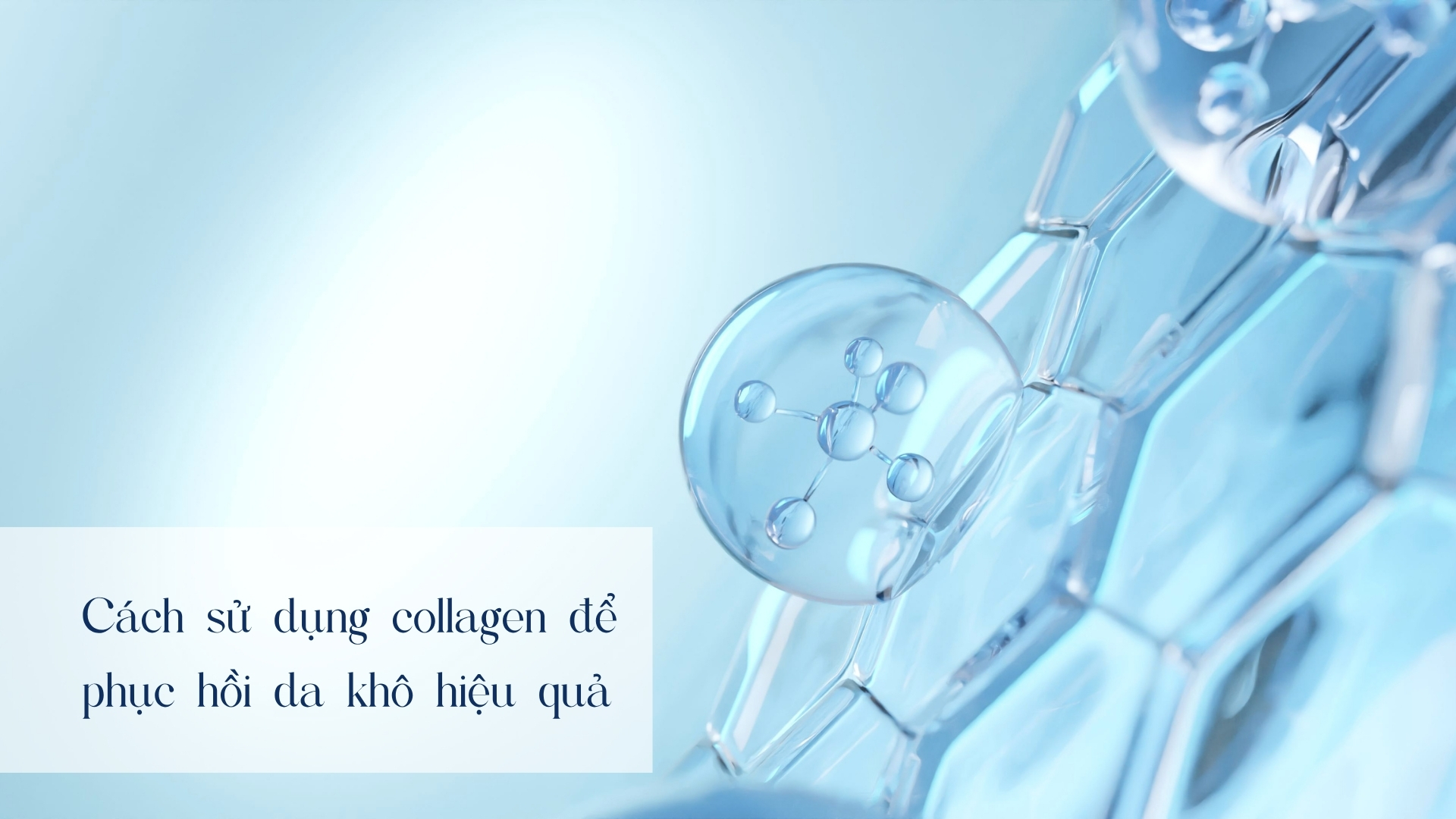 Collagen phục hồi làn da khô – Bắt đầu từ bên trong