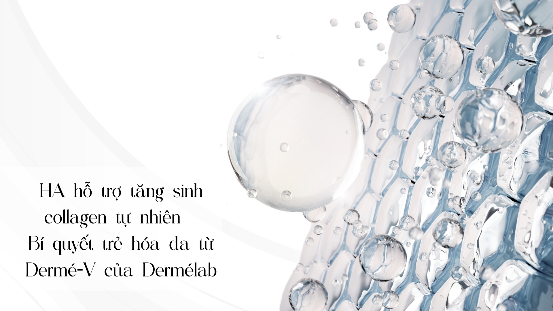 HA hỗ trợ tăng sinh collagen tự nhiên