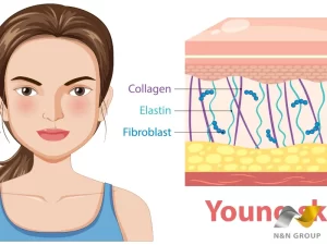 Vì sao collagen quan trọng cho làn da